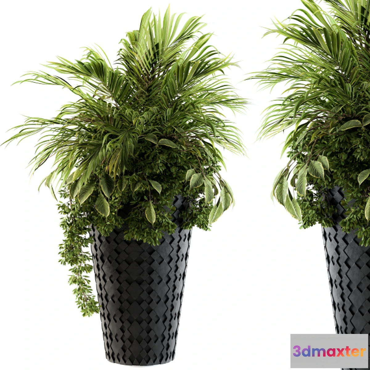 1464550 - indoor Plant Set 89 - Palm Bush 3D Max