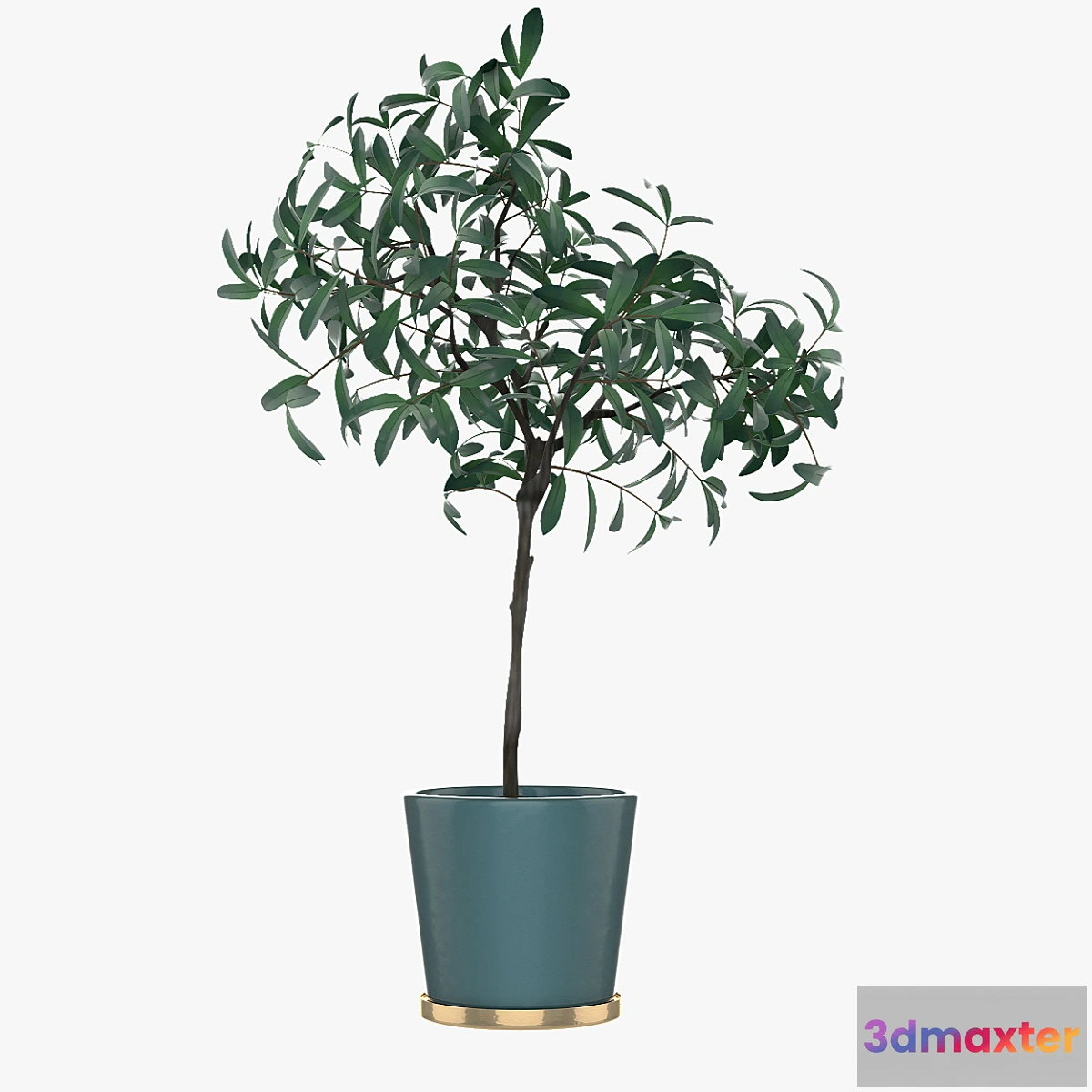 1465058 - Pot Plant 25 3D Max
