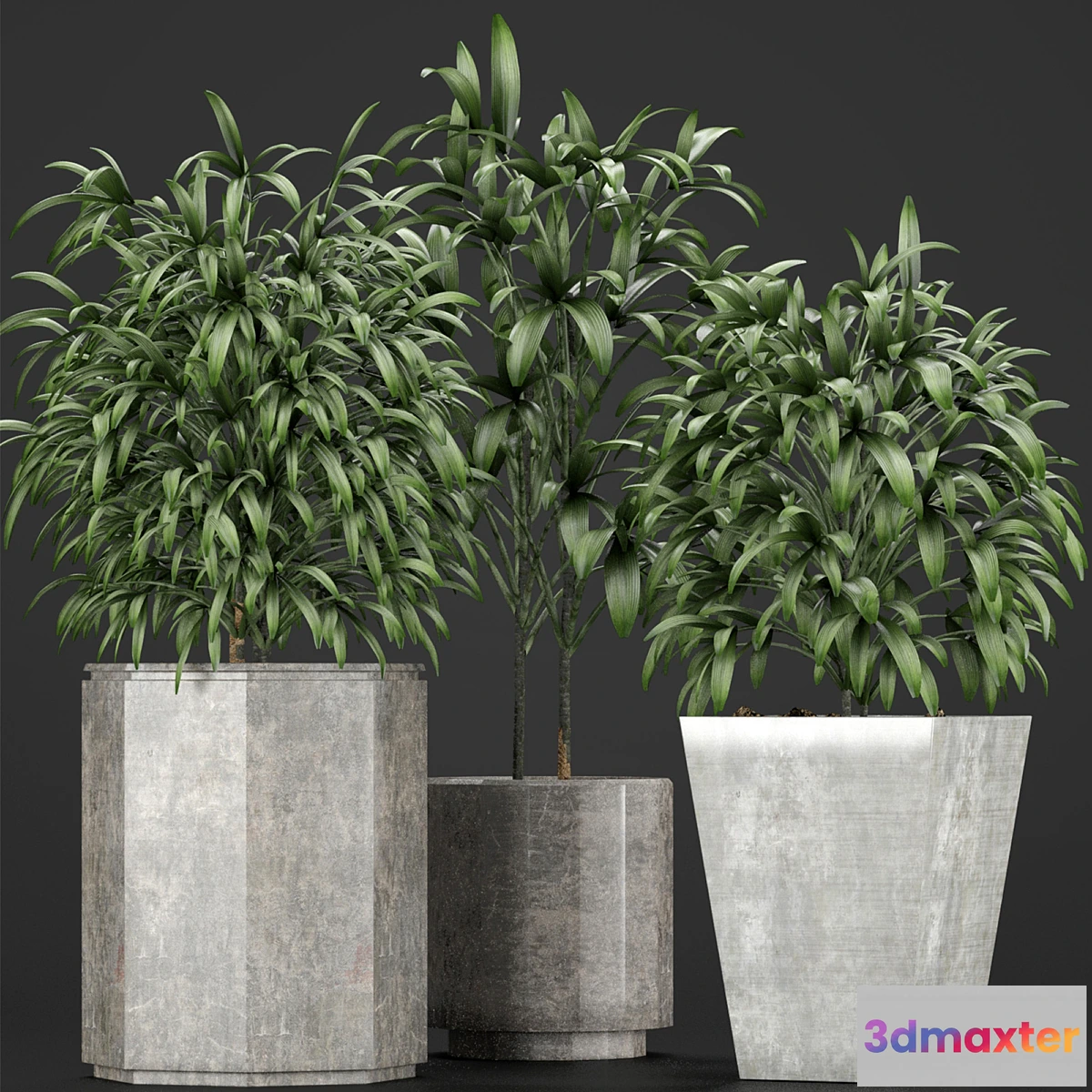 1465106 - Plants Collection 09 3D Max