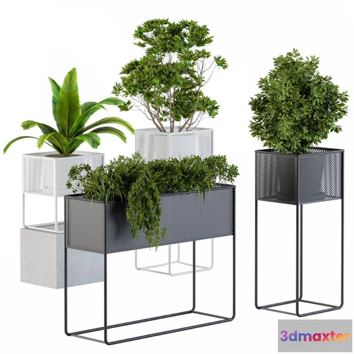 1465332 - Home Set Plants Metal Box 3D Max