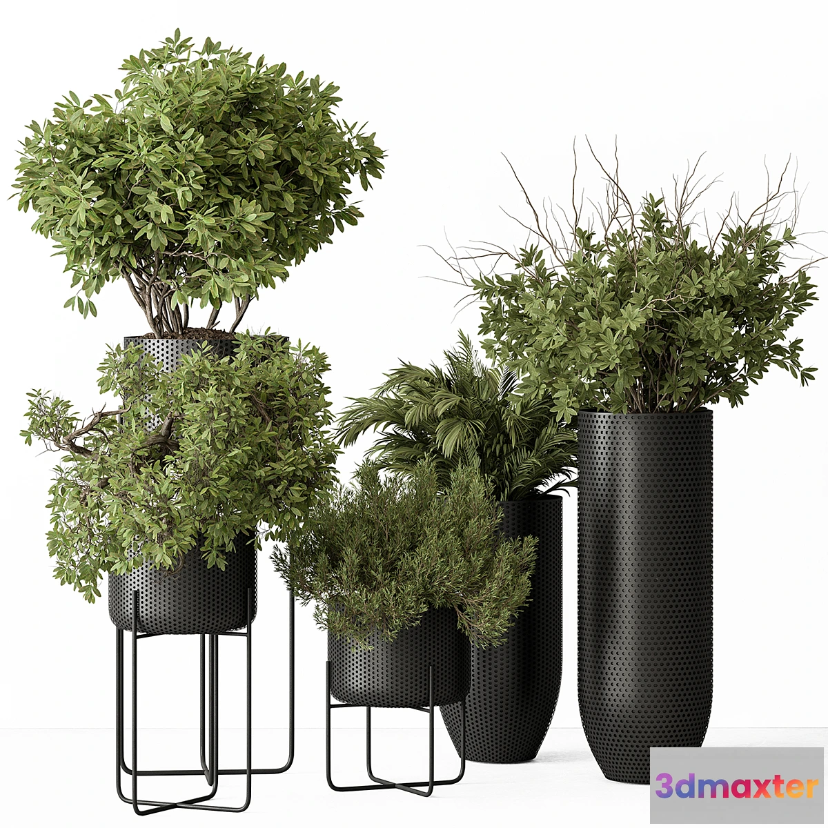 1465438 - indoor Plant Set 427 - Tree and Bush 3D Max