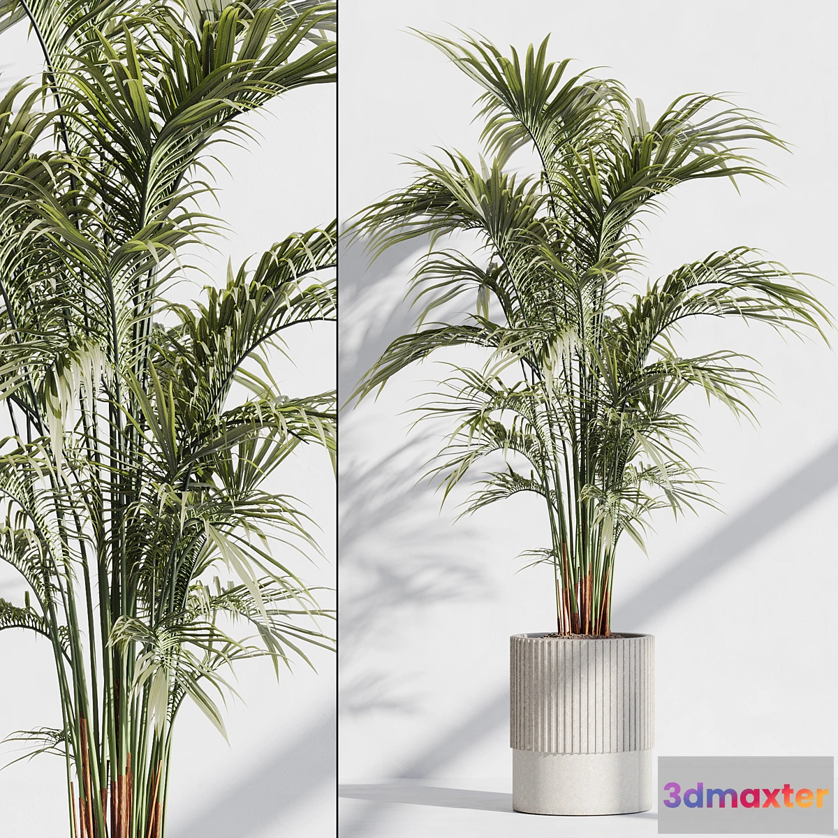 1465746 - indoor plant set 76 3D Max