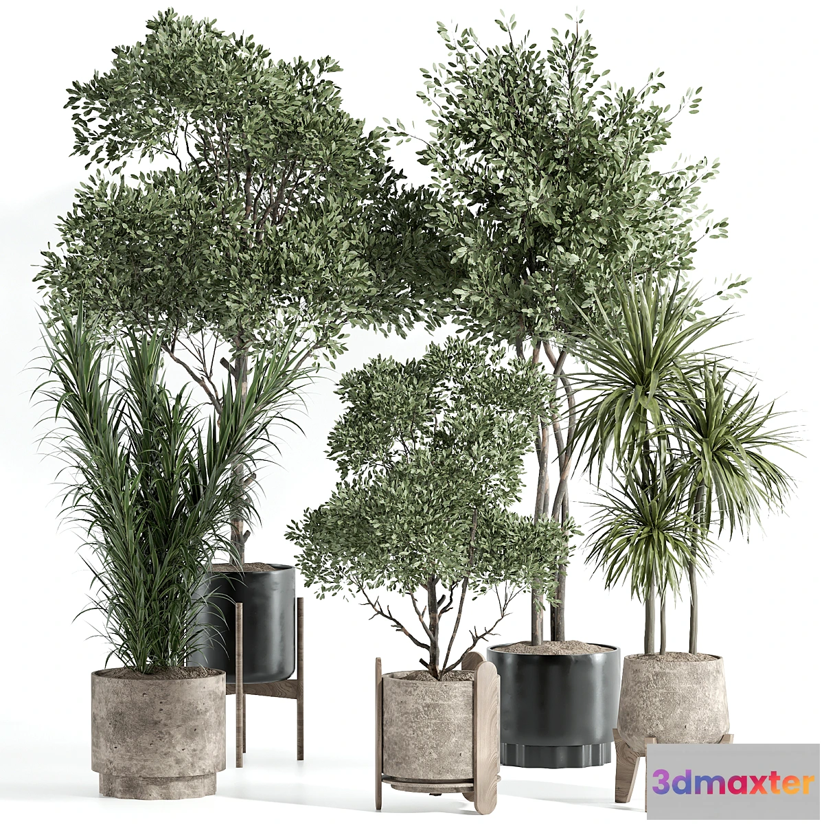 1466140 - Indoor Plant Set 70 3D Max