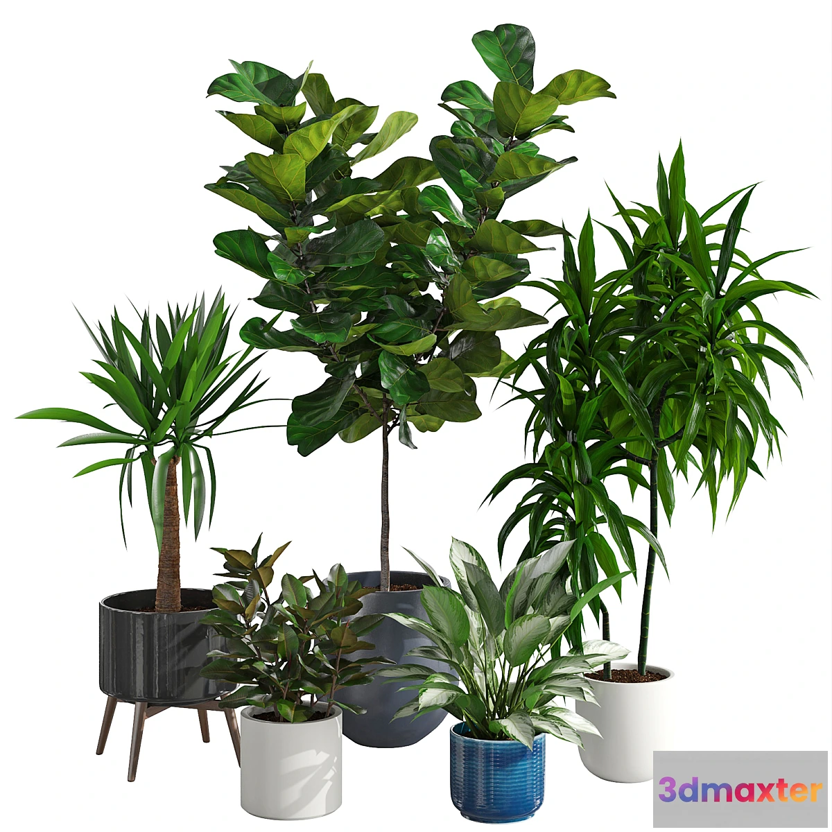 1466732 - Houseplant 78 3D Max