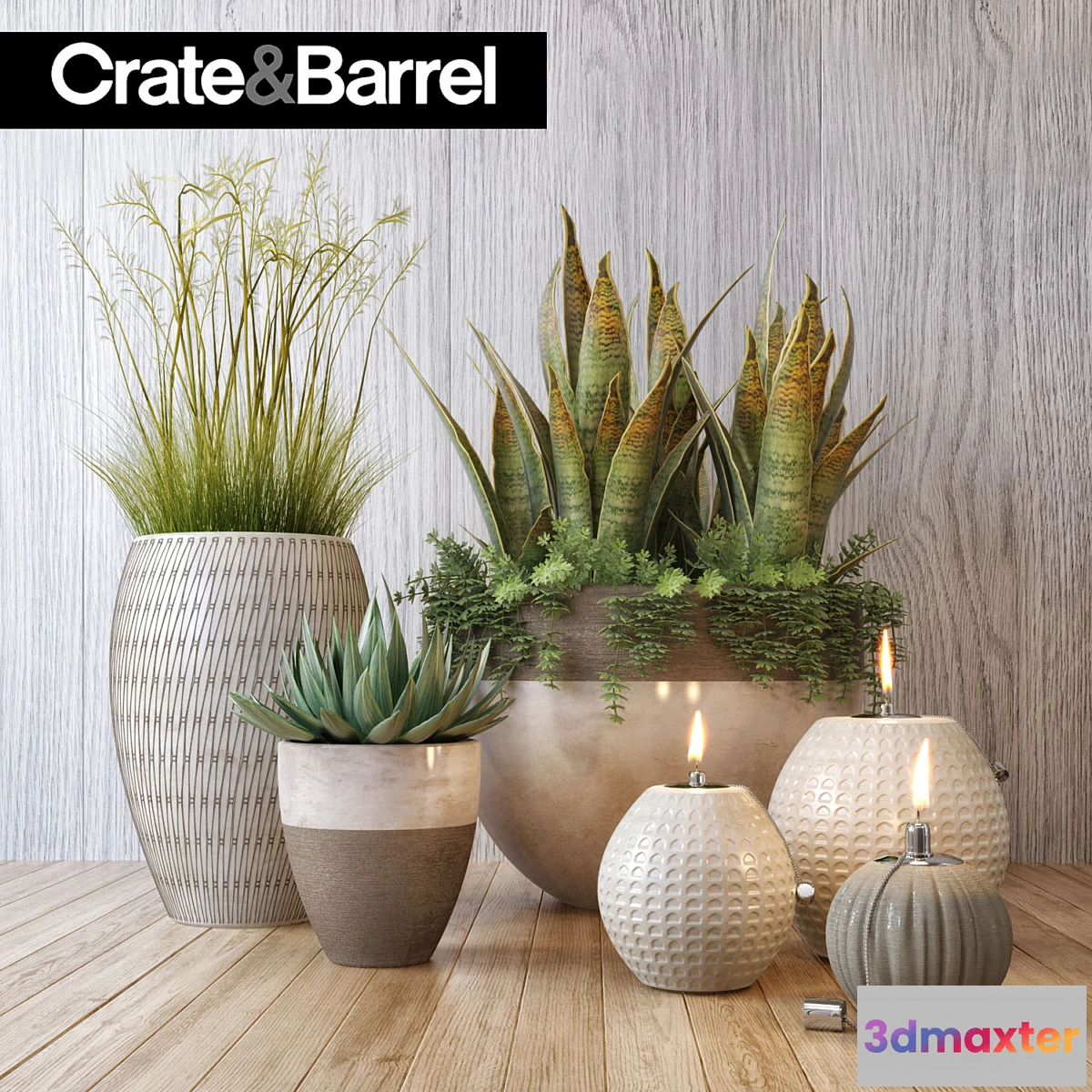 1466812 - Crate&Barrel plant set 3D Max