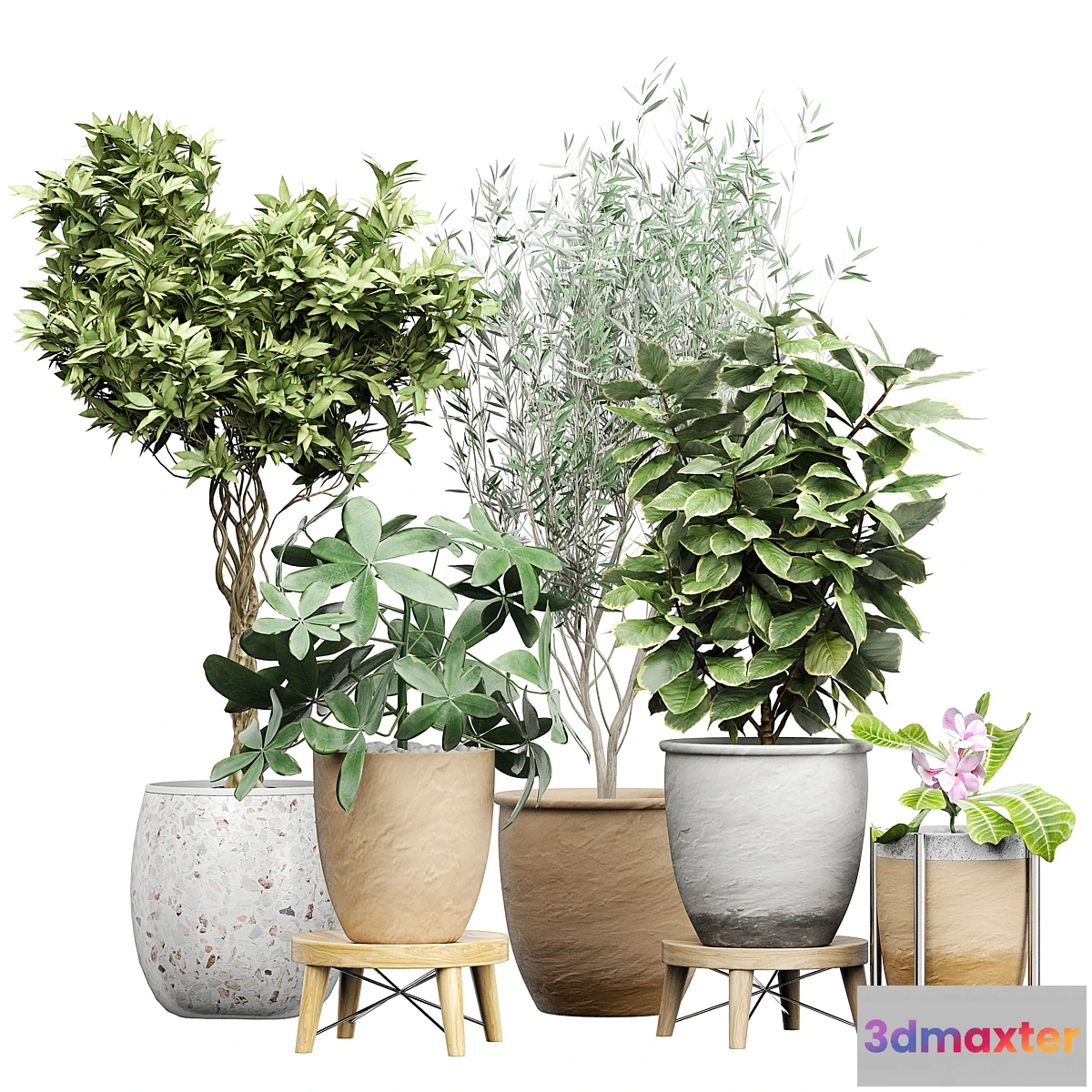 1467022 - Flower Pack 174 3D Max