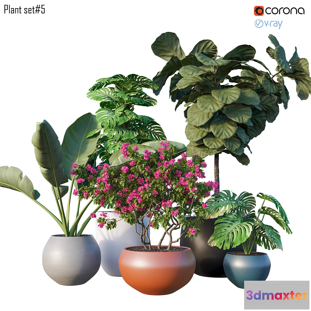 1467344 - Plant set # 5 3D Max