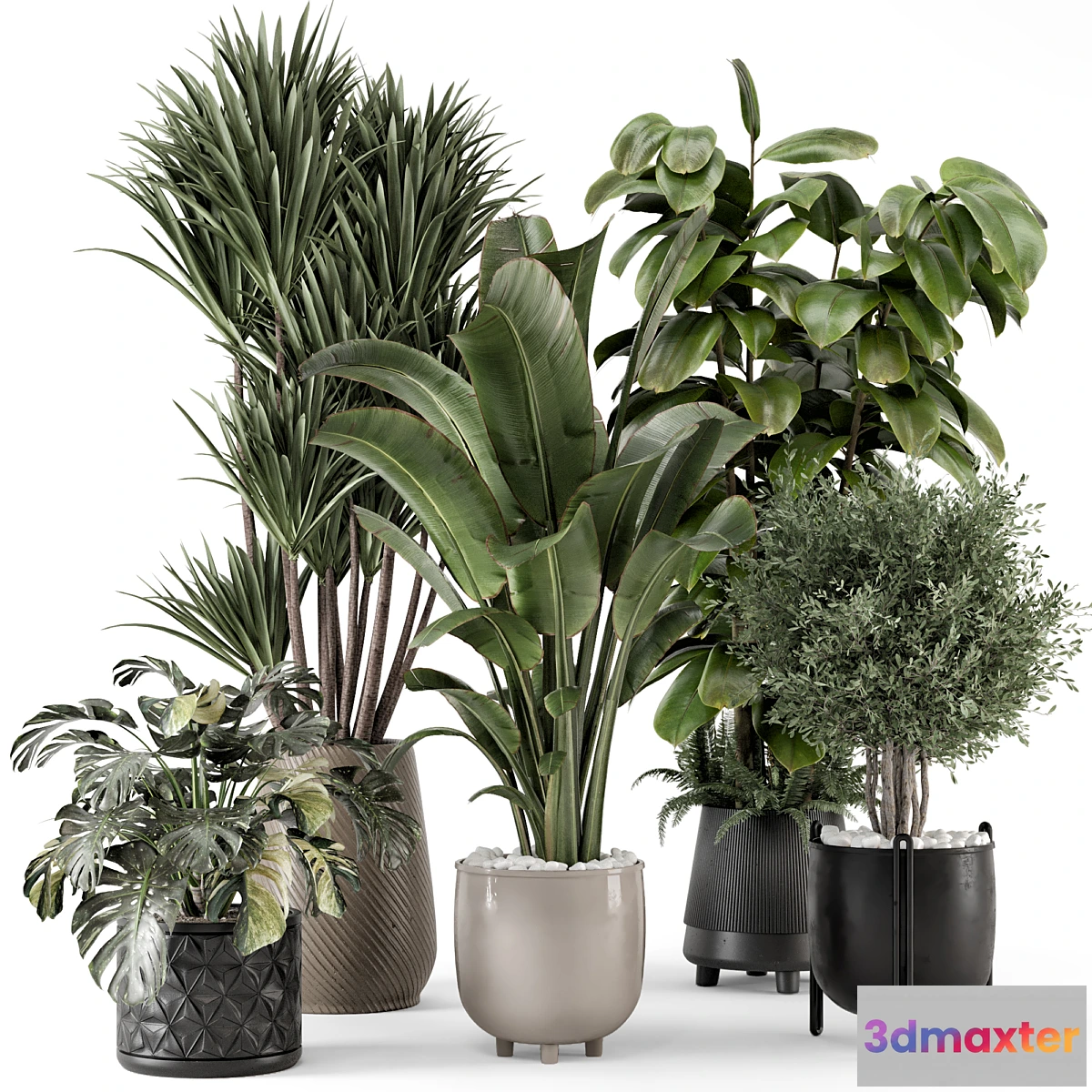 1467794 - Indoor Plants in Ferm Living Bau Pot Large - Set 1343 3D Max