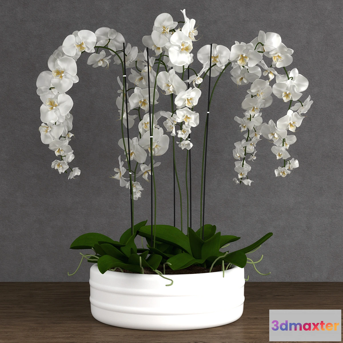 1468286 - Orchid 6 3D Max