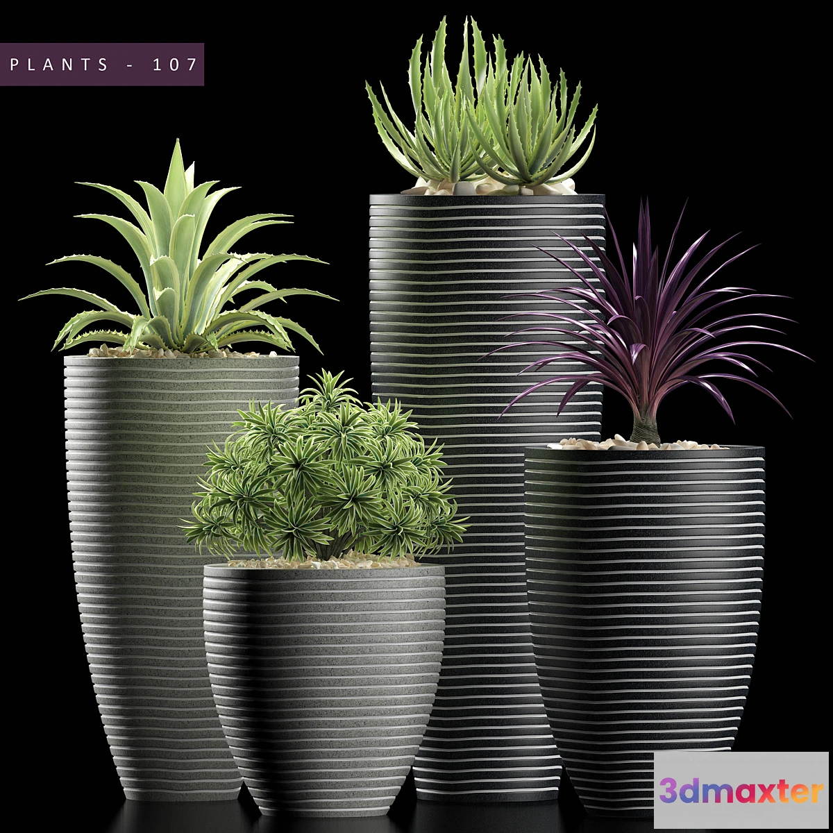 1468306 - PLANTS 106 3D Max