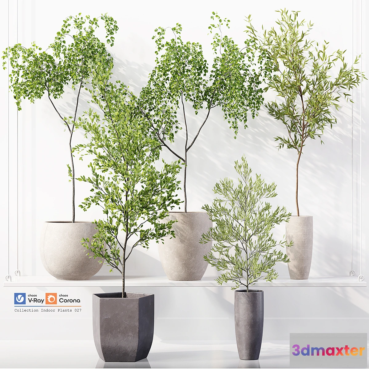 1468802 - Collection Indoor Plants 027 3D Max