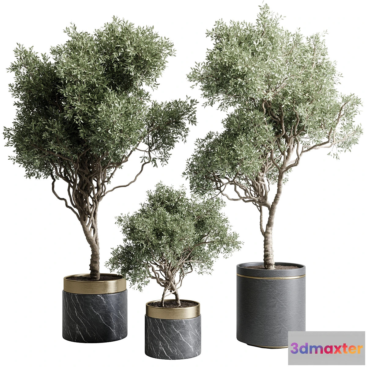 1469044 - Tree in a marble pot - indoor plant 565 3D Max