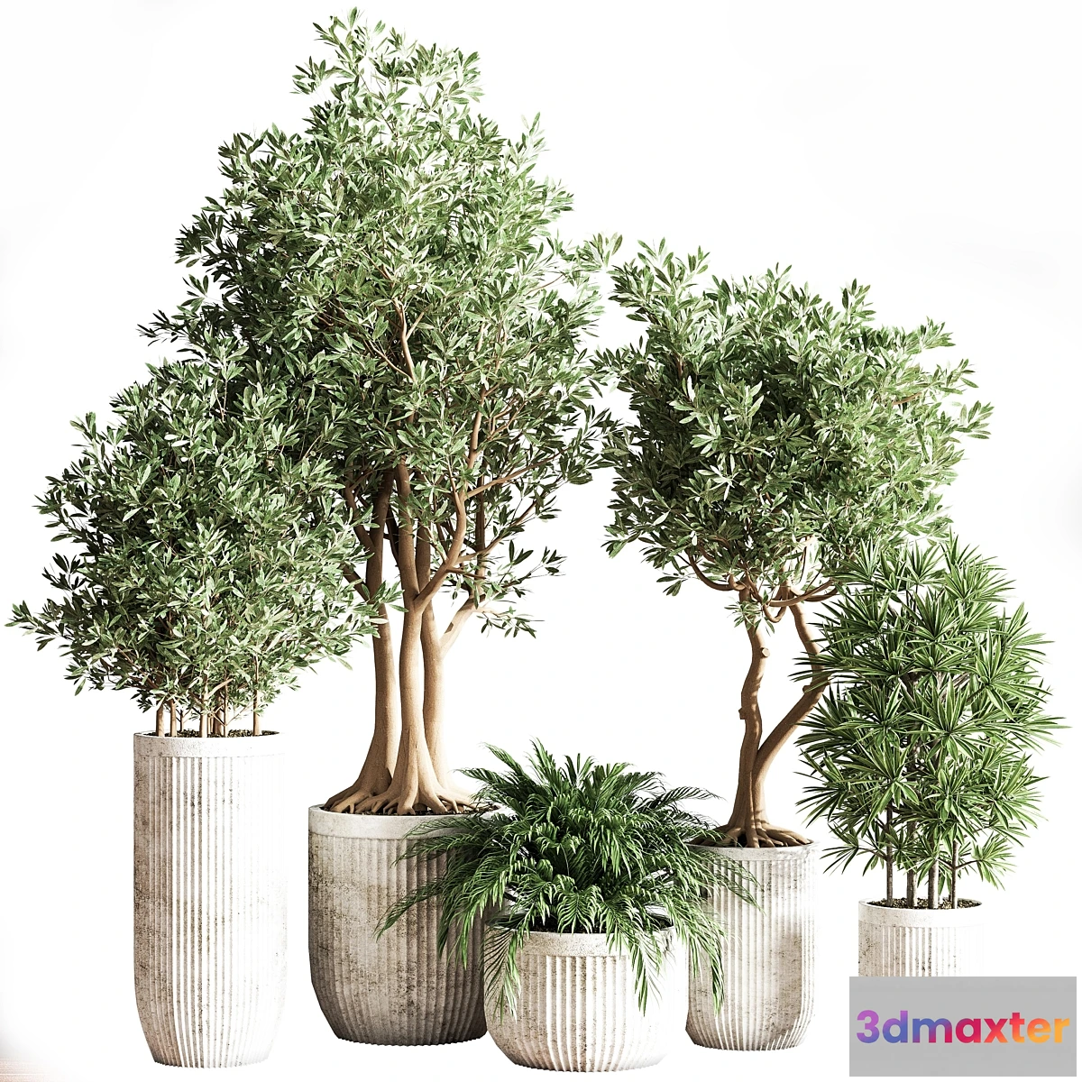 1469112 - Indoor_Set_Plsnt14 3D Max