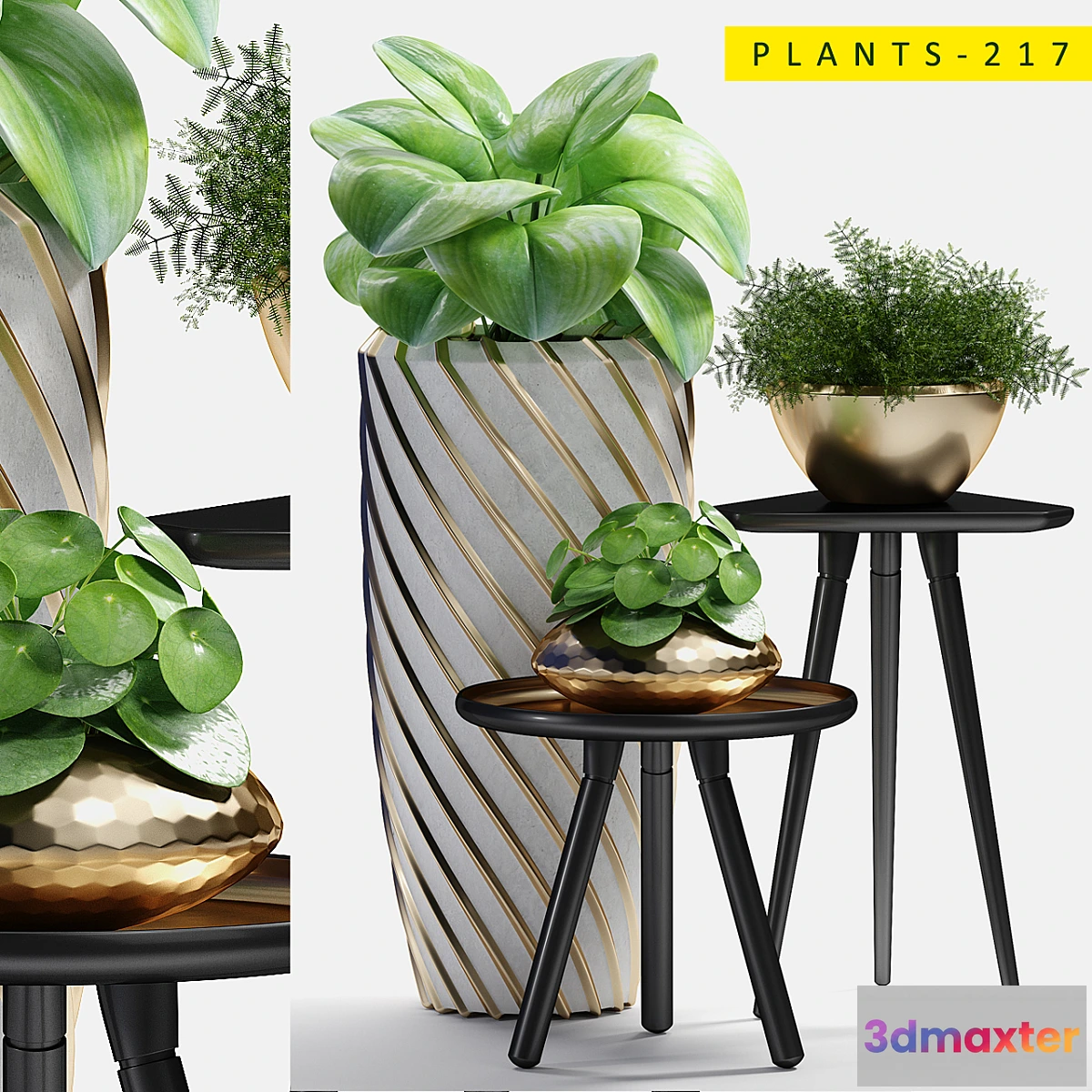 1471052 - plants 217 3D Max