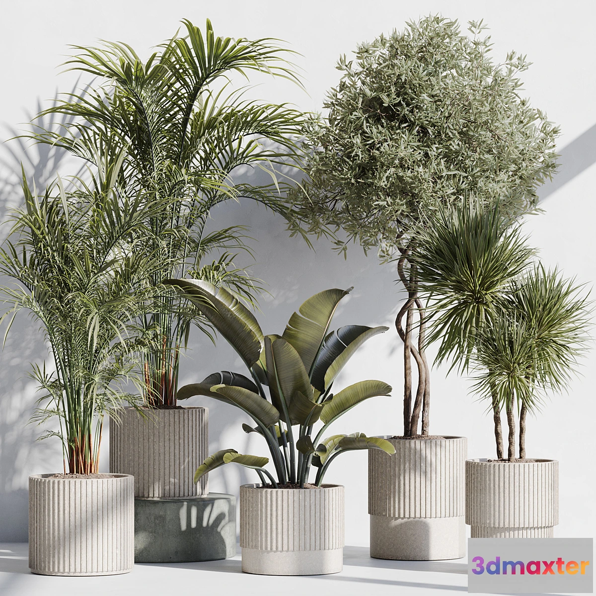 1471792 - indoor plant set 69 3D Max