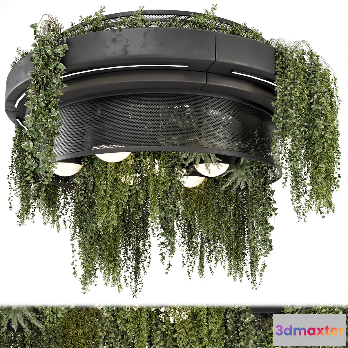 1472846 - Indoor Hanging Plants in Metal Box - Set 1506 3D Max