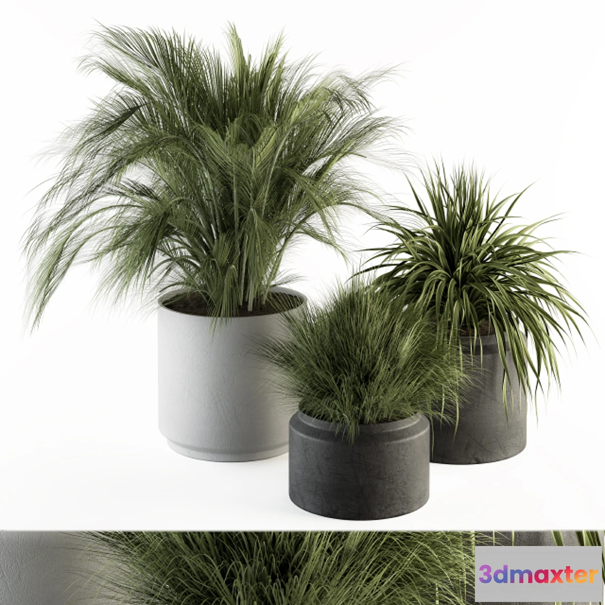 1472890 - indoor Plant Set 223 - Plant Set in pot 3D Max