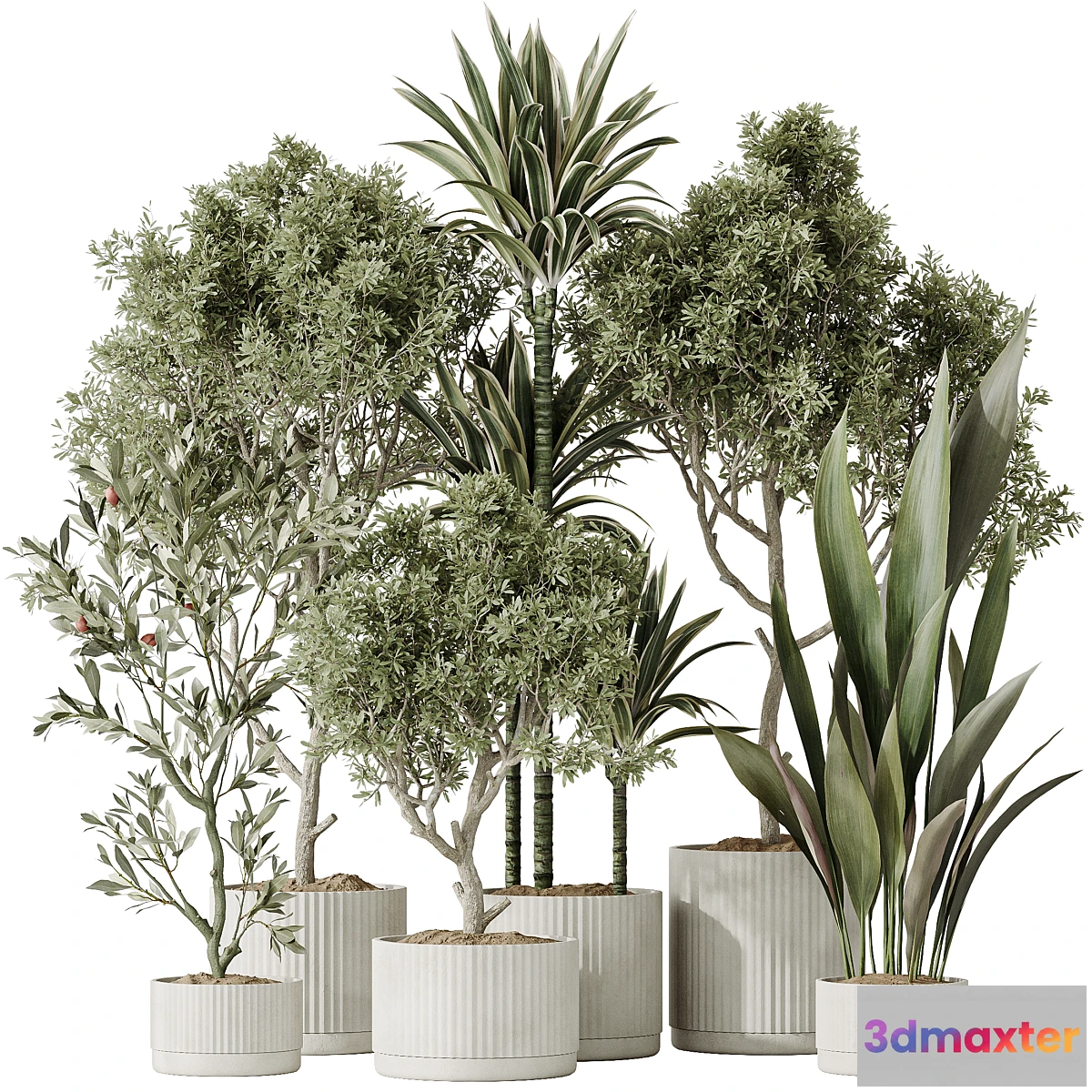 1473502 - Indoor plants set 63 3D Max