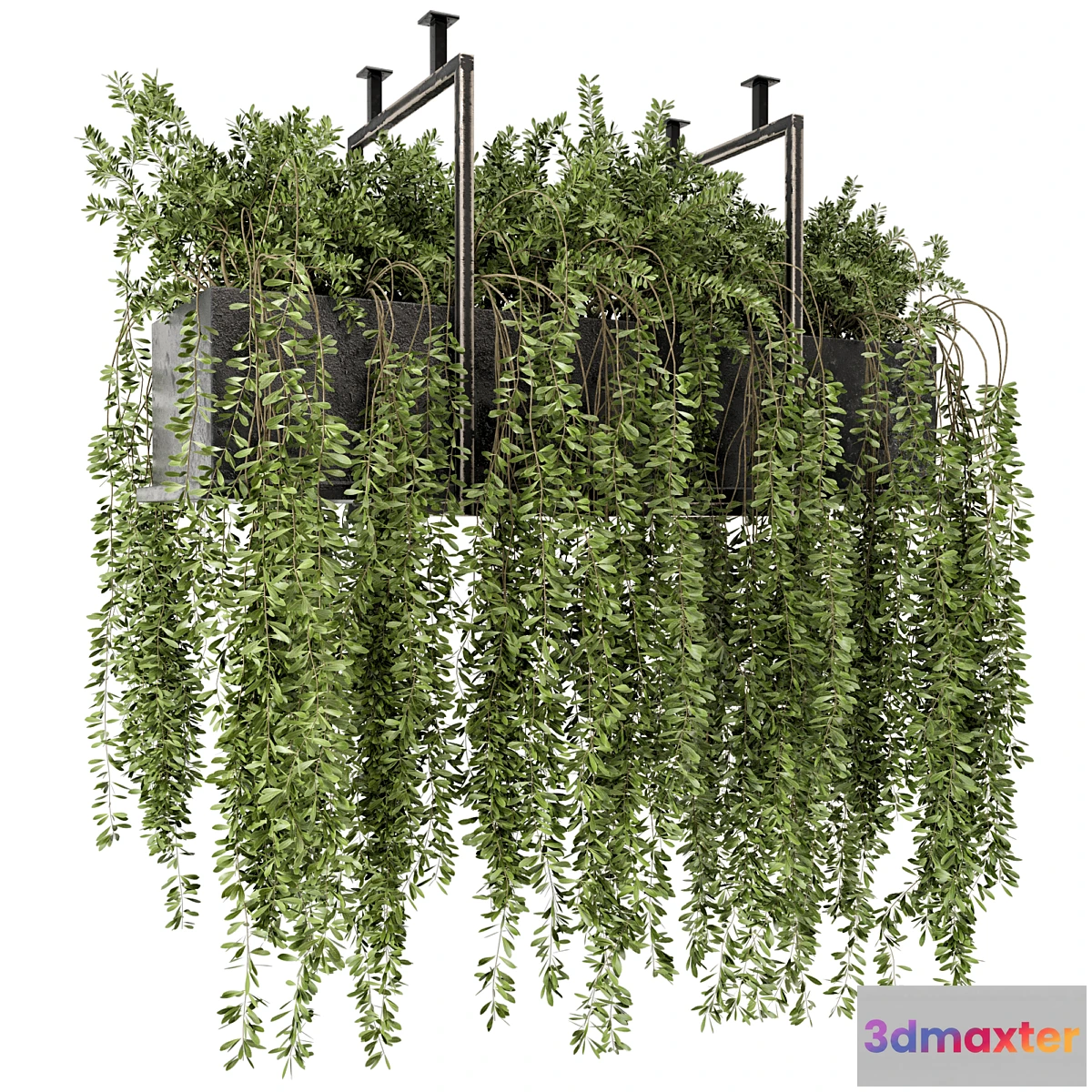 1473512 - Indoor Hanging Plants in Metal Box - Set 303 3D Max