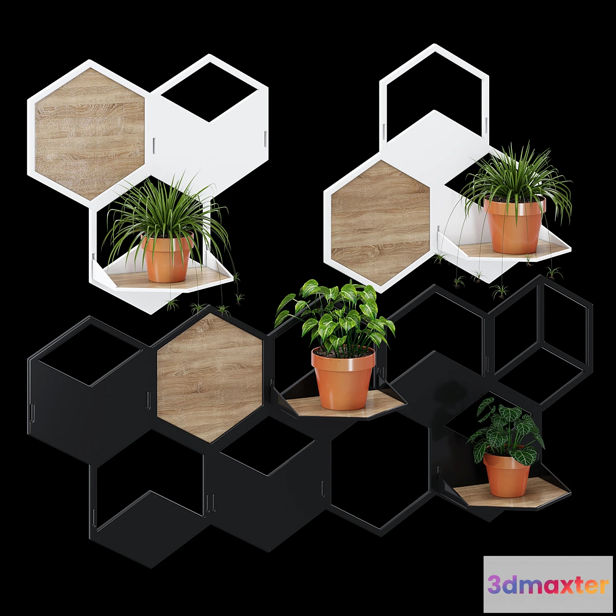 1474574 - Holder 3D Max