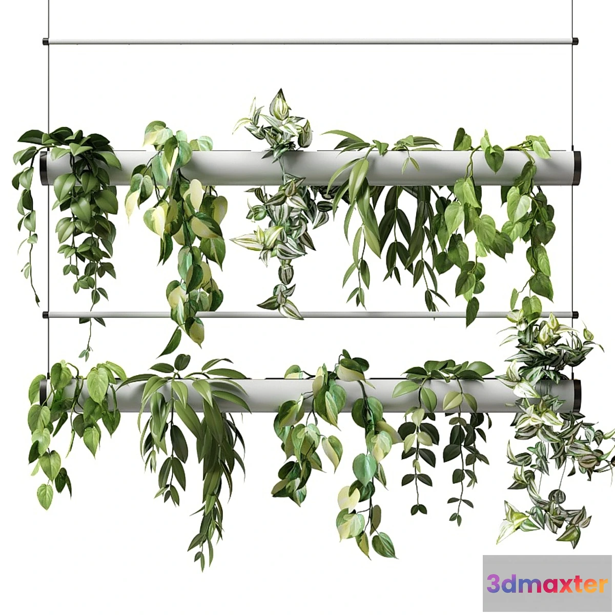 1475428 - Ampel plants in a flowerpot pipe 3D Max