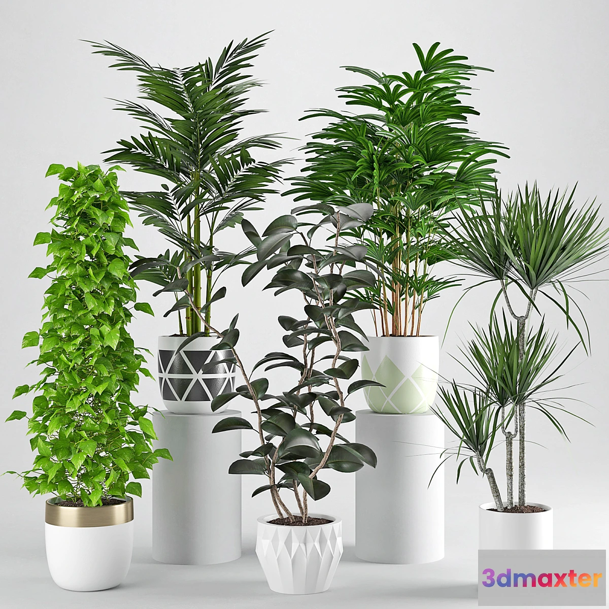 1476068 - Houseplant 34 3D Max
