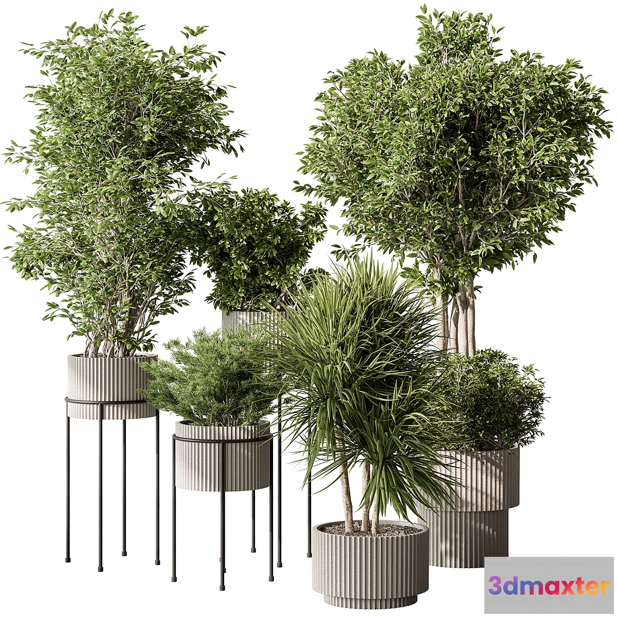 1476484 - Indoor Plant 532 -Tree in Pot 3D Max