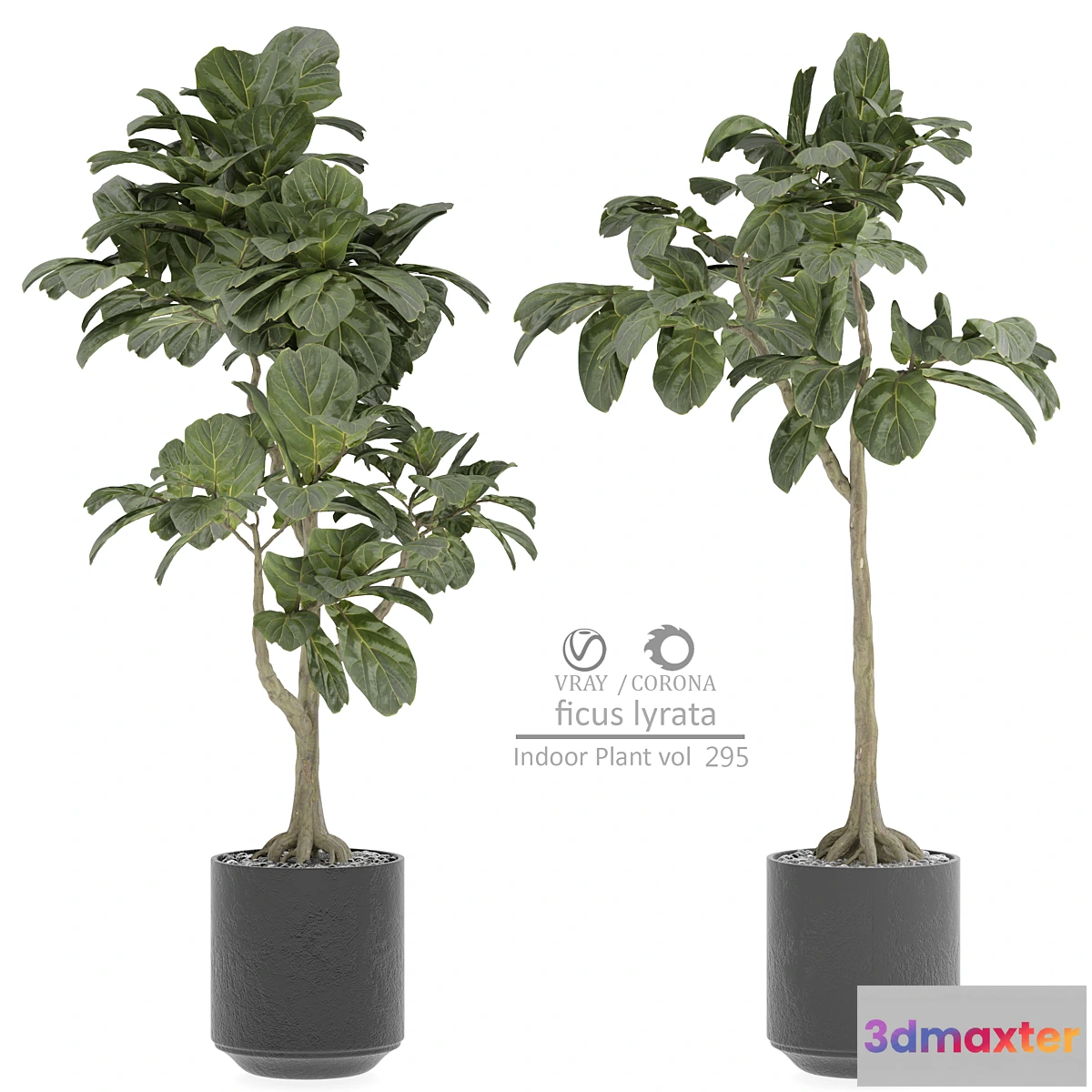 1477134 - indoor Plant 295 3D Max