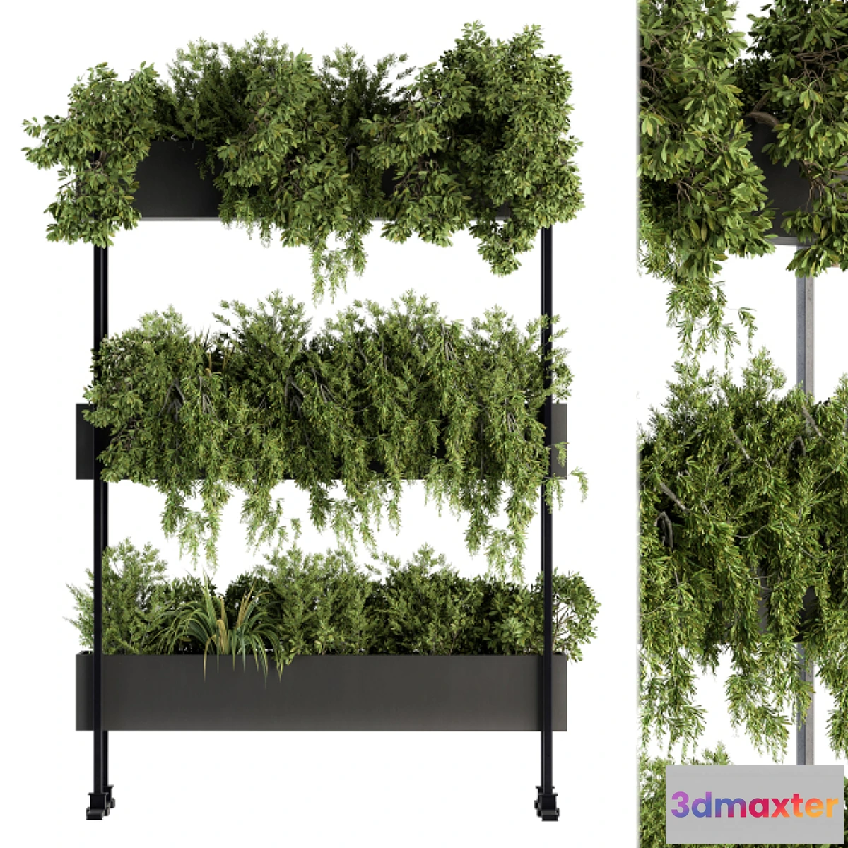 1477384 - indoor Plant Set 215 -Plant Box Stand 3D Max