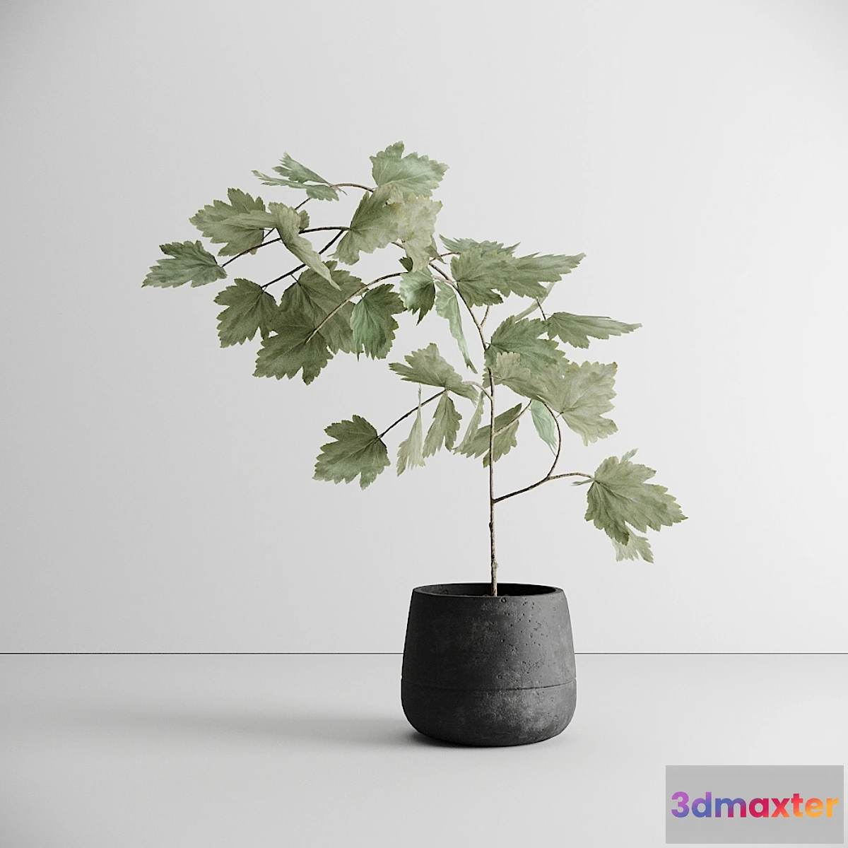 1478266 - Scandinavian Plant 3D Max