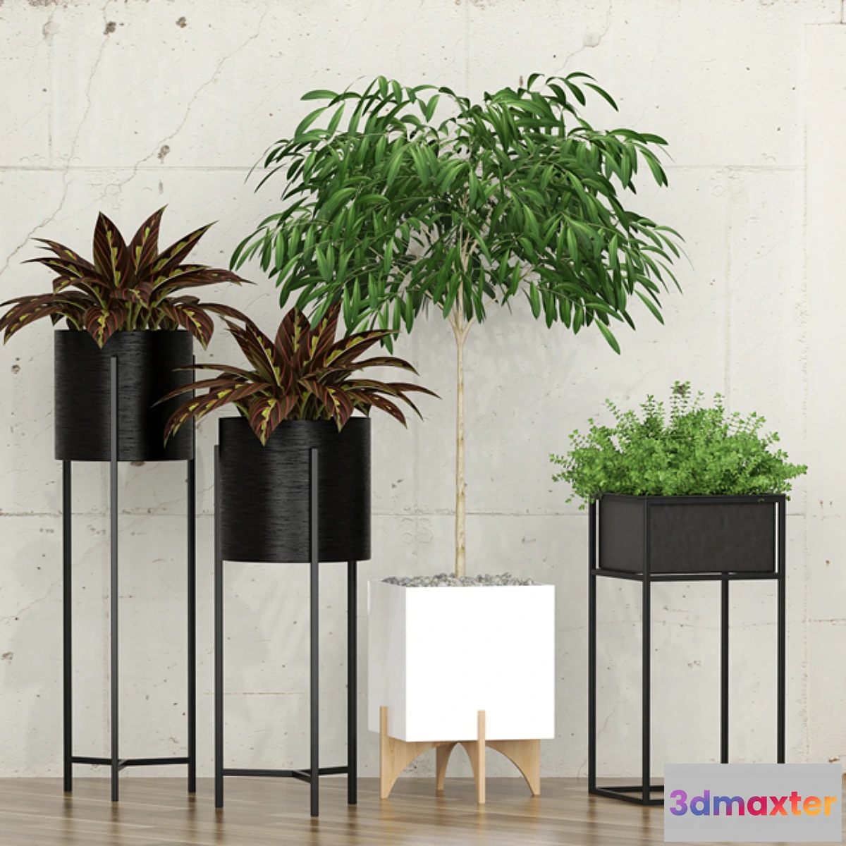1479008 - Potted plants 10 3D Max