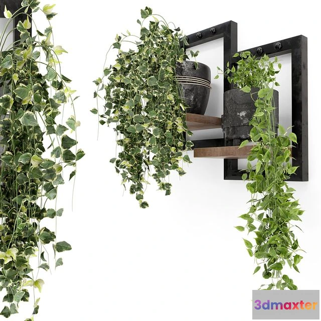 1537630 - Indoor Plants in rusty Concrete Pot - Set 150 3D Max