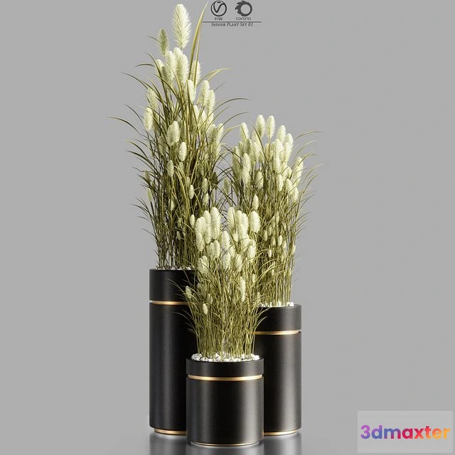 1537634 - Indoor_Plant_Set_81 3D Max