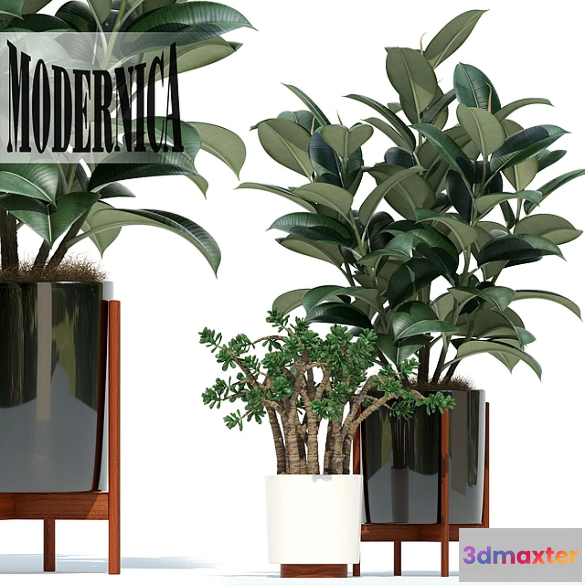 1538656 - Plants collection 72 Modernica pots 3D Max