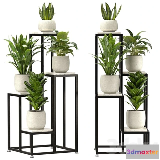 1539074 - Collection Indoor Plants Set Nim08 3D Max
