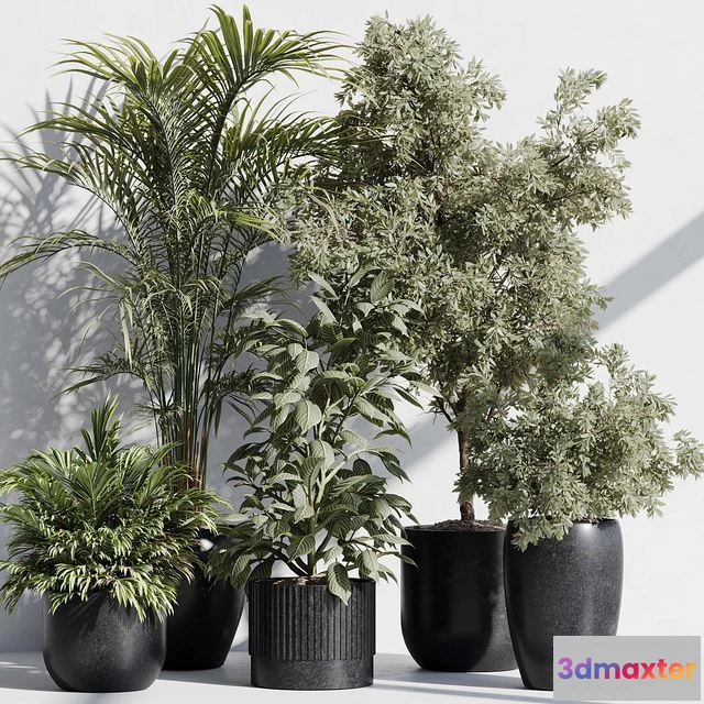 1540265 - indoor plant set 85 3D Max