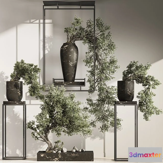 1540427 - Bonsai And Indoor Plant Set 43 3D Max