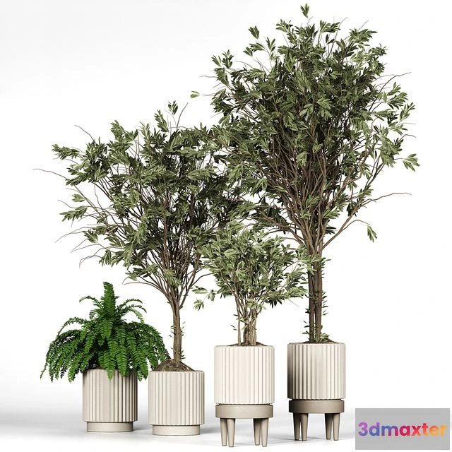 1540505 - Collection_plant_05 3D Max