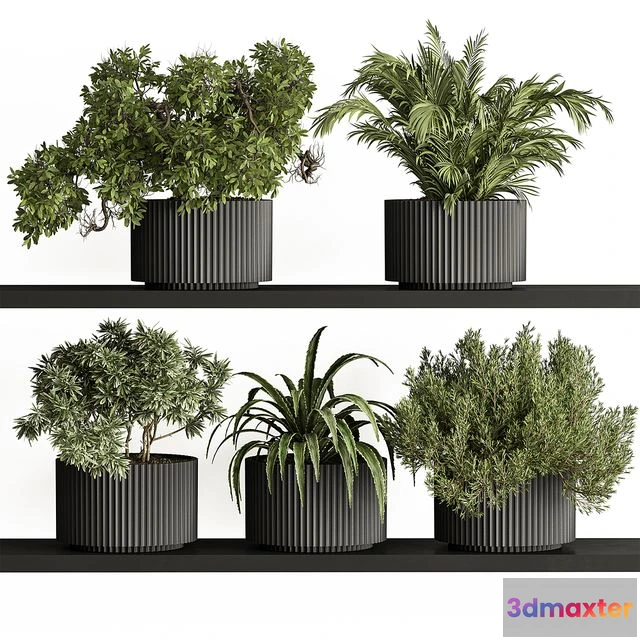 1540701 - indoor Plant Set 402 - Small Plant pot 3D Max