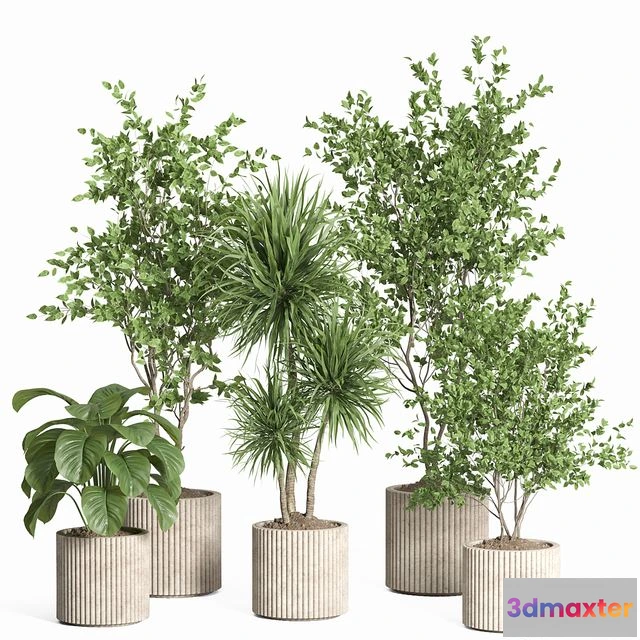1542133 - Indoor plant set 59-Concrete pot 3D Max
