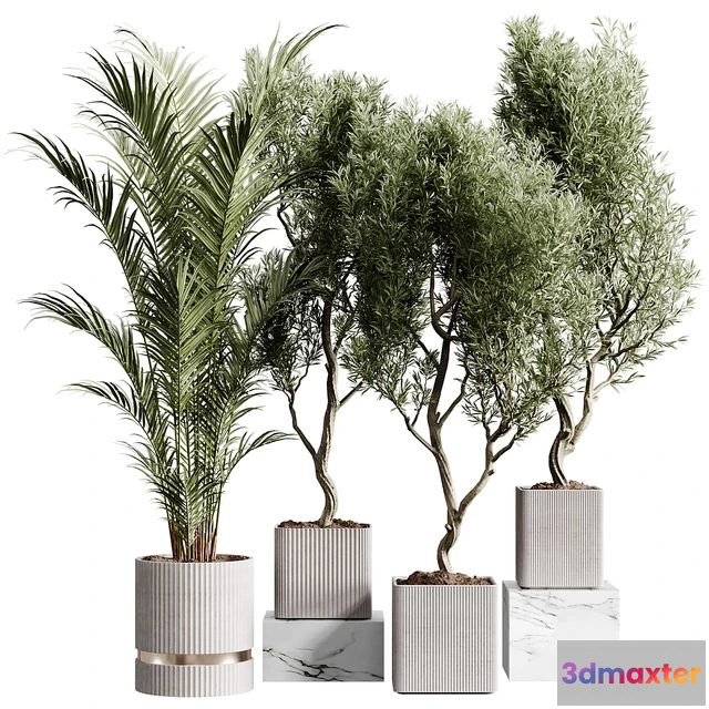 1542135 - Indoor plants collection set 01 3D Max