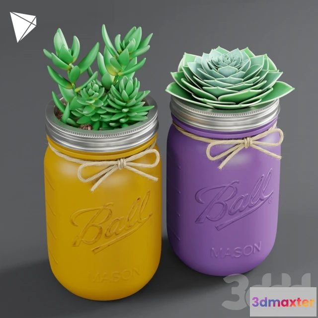 1543195 - Pot Ball Mason Jar Succulent 3D Max