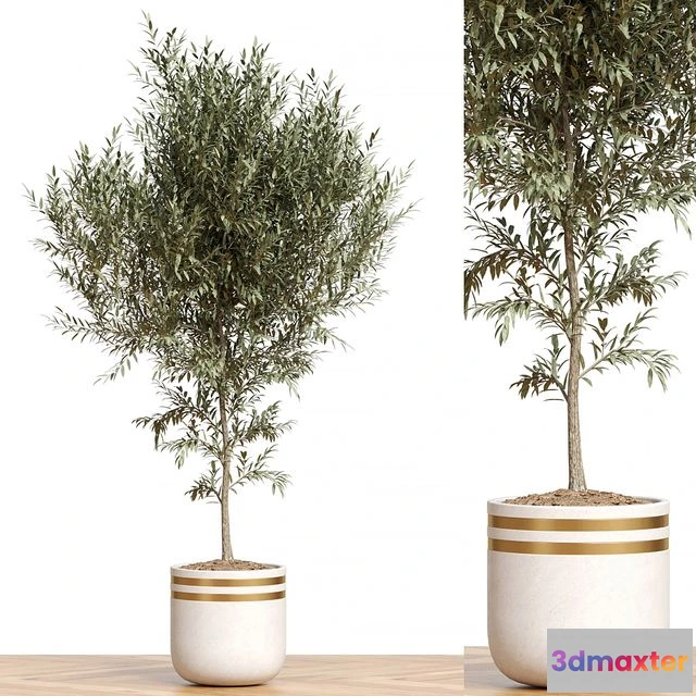 1544371 - Plant Collection 82 3D Max