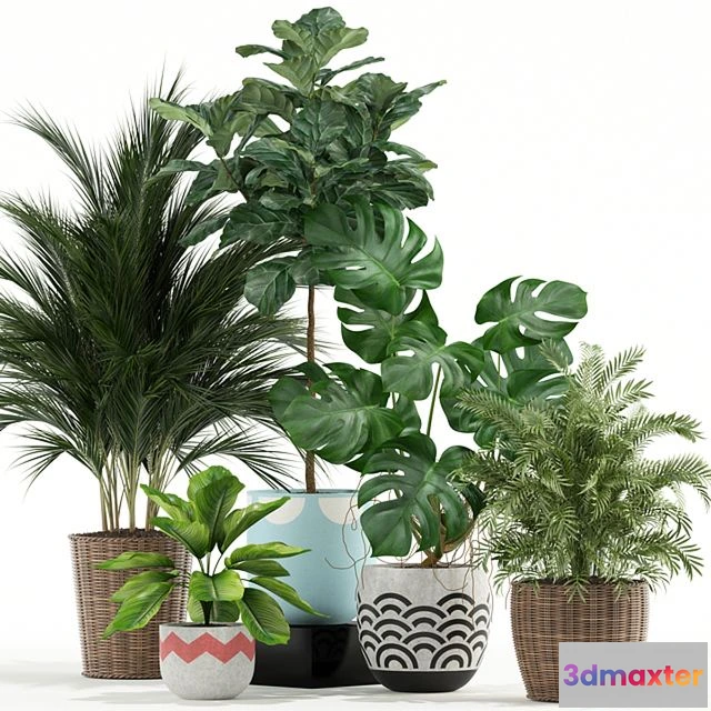 1544379 - Plants collection 115 3D Max