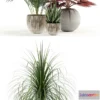 1544381 - Plants Collection 122 3D Max