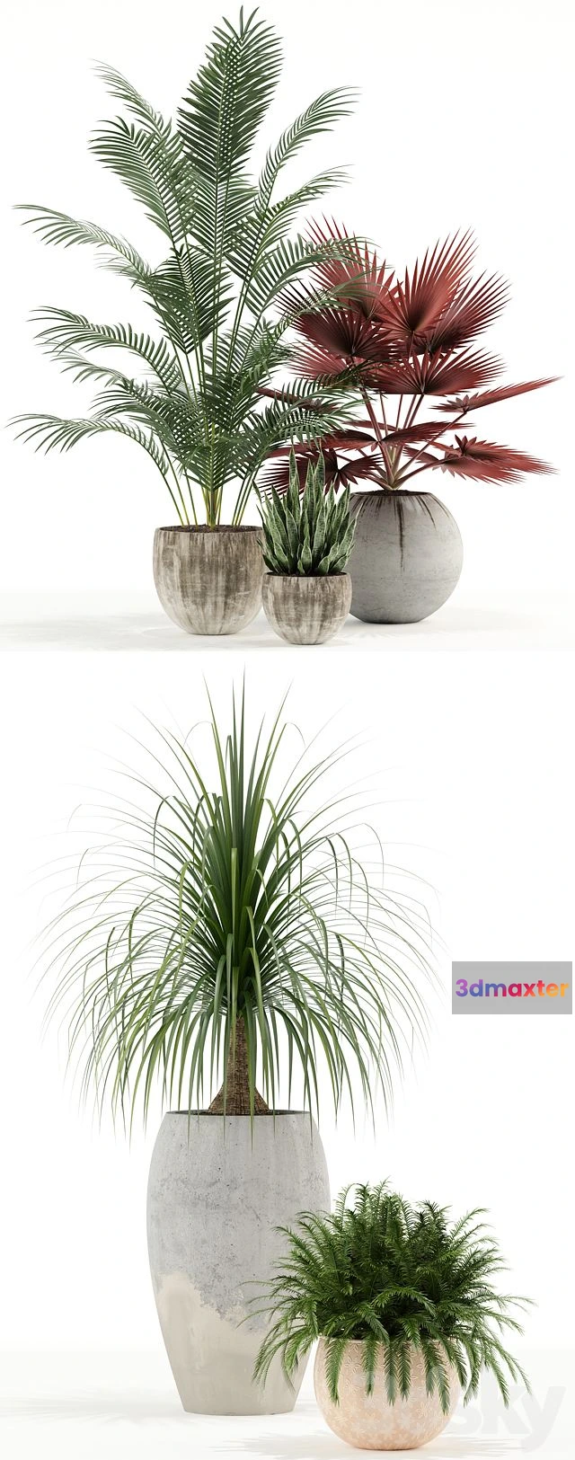 1544381 - Plants Collection 122 3D Max