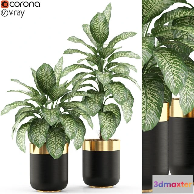 1544385 - Plants collection 491 3D Max
