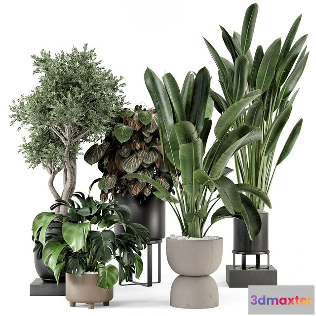 1545293 - Indoor Plants in Ferm Living Bau Pot Large - Set 1204 3D Max