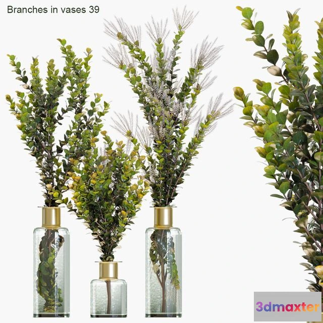 1545584 - Branches in vases 39 3D Max