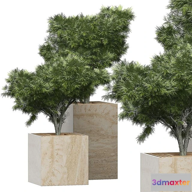 1545840 - Flower Pack 153 3D Max